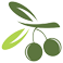 100% Organic Italian Extra Virgin Olive Oil